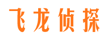 平武侦探